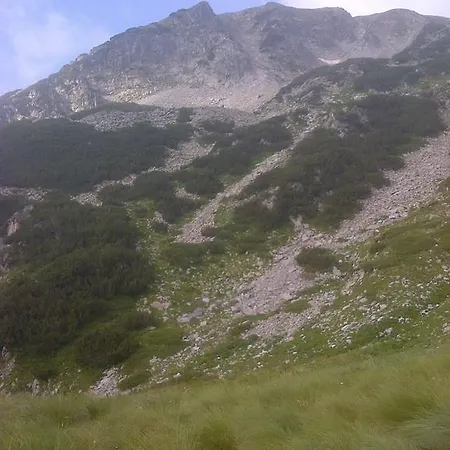 In Eagle's Nest Bansko