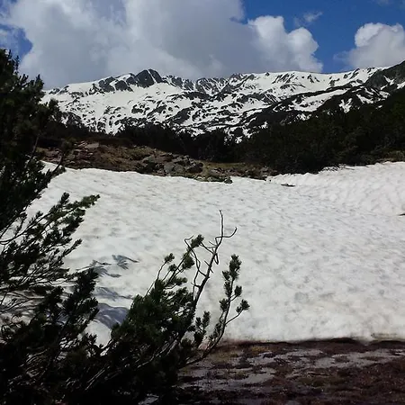 Lejlighed In Eagle's Nest