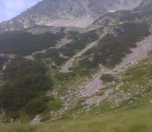 In Eagle's Nest Bansko