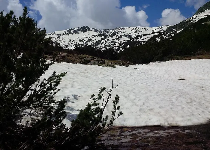 Appartement In Eagle's Nest